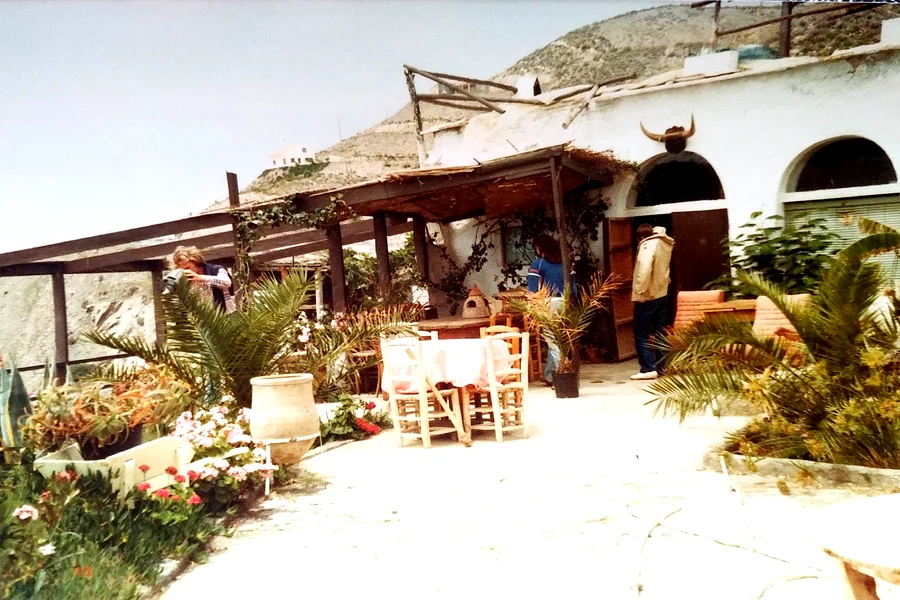 Andalusische Terrasse mit Palmen und Blumen